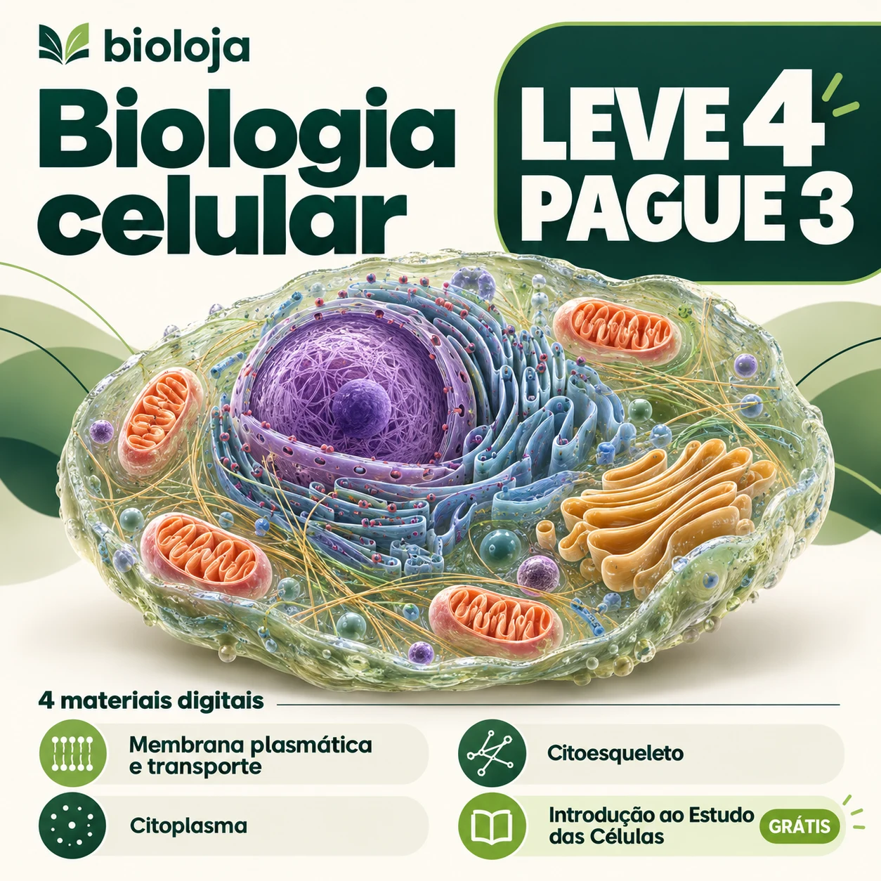 Promoção: Leve 4 e pague 3!! slide 0